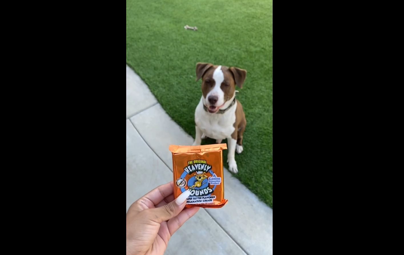 Amazon.com : Heavenly Hounds Peanut Butter Chews - Anxiety Relief